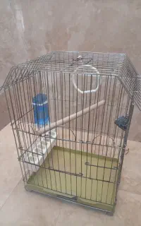 قفس پرنده