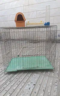 قفس