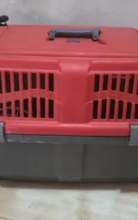 باکس حیوانات