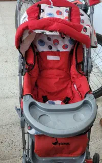 کالسکه دلیجان تمیز