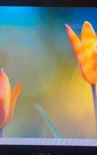 لبتاب دل (DEL)‌ (E6510)