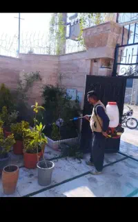سمپاشی وباغبانی هرس گلکاری کوددهی درختکاری