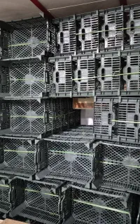 سبد جعبه دو ردیف سیب