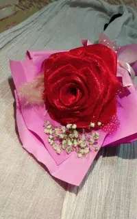 تک شاخه ربانی