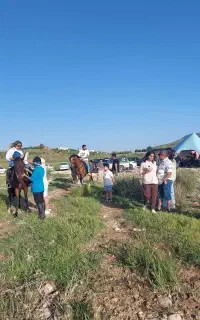 آموزش سوارکاری در همه رده های سنی