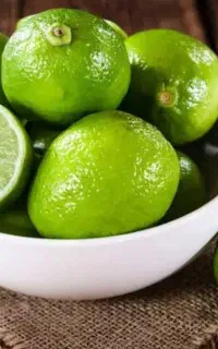 خرید لیمو و اجاره باغ لیمو