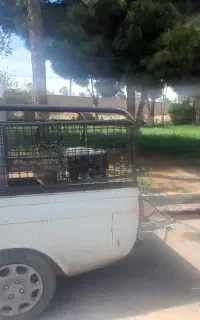 کارواش سیار