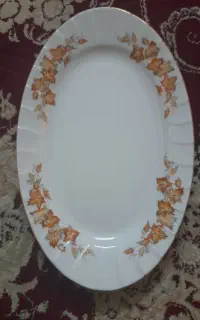فروش دیس بیضی شکل
