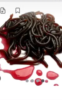 طعمهای ژ له ای و کرم مصنوعی از طبیعی خوشگل تر