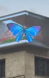 تلویزیون شهری ( ویدئو وال)