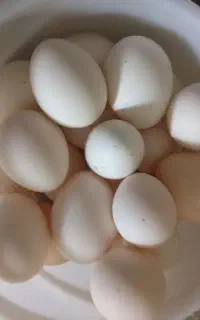 تخم مرغ محلی