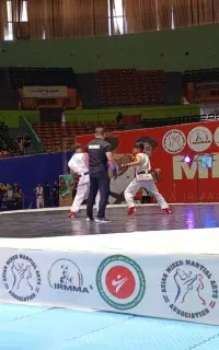 آموزش هنرهای رزمی ورزشی MMA