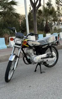 باسل ۱۴۰۳ در حد