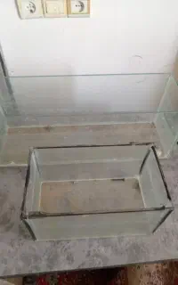 دوعدداکواریوم