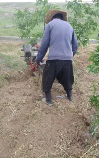 انجام تمامی امور باغ علف زنی
