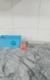 لوازم  پرنده