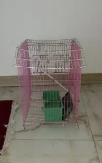 قفس پرنده