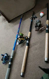 لنسر ماهیگیری درجه یک معاوضه با هرچیز