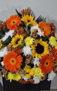 گل شاد و زیبا