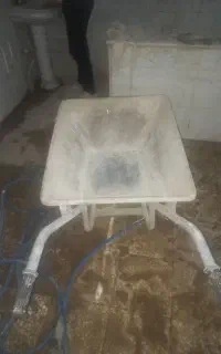 فرقون