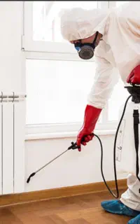 سم پاشی منازل هتهابرای کک ساس سوسک شپش حشرات موزی