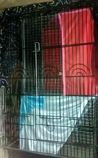 انواع قفس کوچک و بزرگ