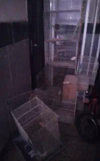 قفس پرنده