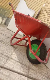 فرغون بدون رنگ
