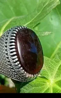 حراج عقیق کرزی شرط یمن