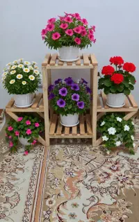استند چوبی زیبا