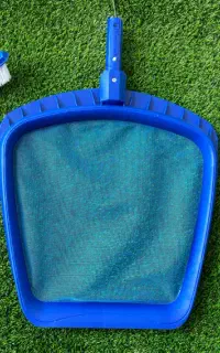 برگ گیر استخری