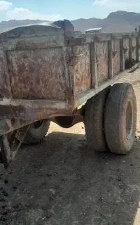 تریلی