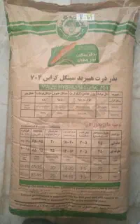 بذر ذرت 704 پارس مغان