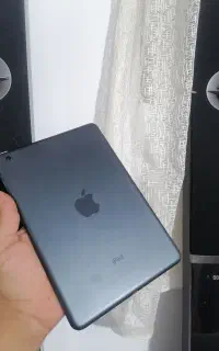 ایپد مینی 2