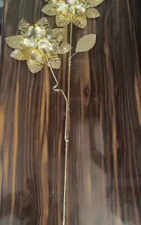 گل آفتاب گردون