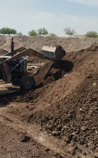 فروش کود گاوی