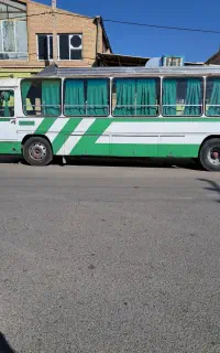 اتوبوس۳۰۲