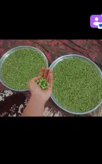 کارگر نخودفرنگی