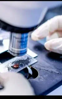 لیسانس میکروبیولوژی