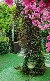 گروه موسیقی محلی فرزاد