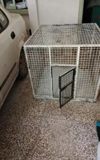 قفس مرغ کف ورق مناسب برای پرنده