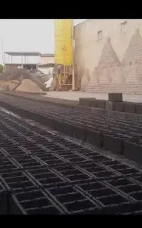 نیرو کار در شرکت بلوک روزی ۸۰۰ت ب بالا