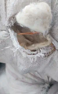 پشم گوسفند شسته شده