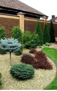فضای سبز، محوطه سازی،گرین وال، روف گاردن
