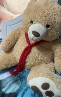 خرس شاسخین بزرگ