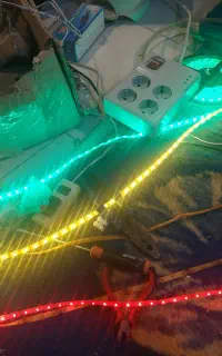 ریسه شلنگی ( قیمت عمده)