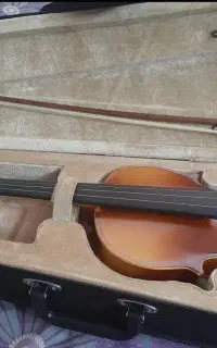 ویولن TF142 سایز 4/4 آکبند