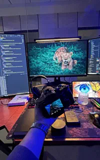 طراحی سایت حرفه ای با نت ملی