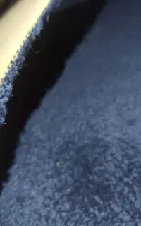 پالازموکت