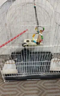 قفس پرنده